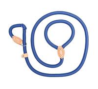 Laisse pour chien lourde et confortable - Réfléchissante - Pour chiens de taille moyenne - Robuste - Pour petits chiens