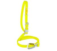 Laisse pour Chien Mains Libres, Imperméable, Fabriquée en Espagne, Boucle en Aluminium, Sangle Recouverte de PVC, Réglable pour Chiens Petits, Moyens et Grands. Jaune. 2.5cm * (125cm-225cm).