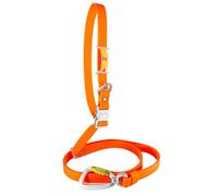 Laisse pour Chien Mains Libres, Imperméable, Fabriquée en Espagne, Boucle en Aluminium, Sangle Recouverte de PVC, Réglable pour Chiens Petits, Moyens et Grands. Orange. 2.5cm * (125cm-225cm).