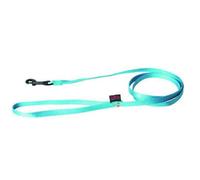 Laisse pour chien Martin Nylon Turquoise