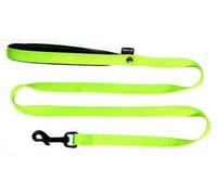 Laisse pour chien Martin Nylon Vert