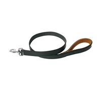 Laisse pour chien Martin Sellier Noir 25/100