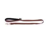 Laisse pour chien neoprène nylon Martin Sellier S Marron 15/100 cm
