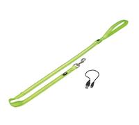 Laisse pour chien Nobby Pet Flash Mesh Vert 120 cm x 25 mm