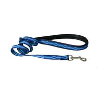 Laisse pour chien nylon Image Dream Bleu 16/100 cm