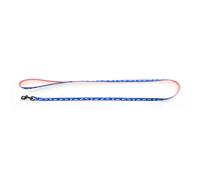 Laisse pour chien nylon Martin Sellier Cat Bico Bleu 10x120 cm