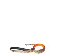 Laisse pour chien nylon Martin Sellier Krapoulos Orange XS (10/100 cm)