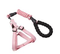 Laisse pour chien pour dressage de marche pour grands petits chiens avec boucle en D Multicolore