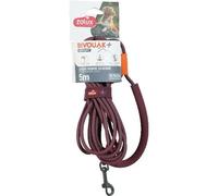 Laisse pour chien ronde Zolux Bivouak Rouge 2x11,5x1500 cm