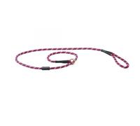 Laisse pour chien ropecuir Weatherbeeta Rouge L
