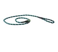 Laisse pour chien ropecuir Weatherbeeta Vert L