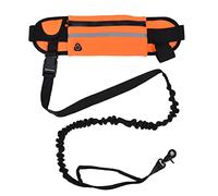 Laisse pour Chien sans Mains pour la Marche/Le Jogging/la randonnée |Sac à Fermeture éclair détachable |Bande réfléchissante pour la Protection Nocturne |Ceinture réglable 65 - (Orange)