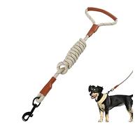 Laisse pour Chien - Traction réglable pour l'entraînement - Laisse réfléchissante et soliavec poignée Confortable pour la Chasse, la Marche, Le Camping