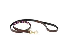 Laisse pour chien Weatherbeeta Polo Marron M
