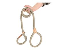 Laisse pour chiens, corde en nylon robuste pour chiens de grande et moyenne taille, laisse pour chien pour la marche, le dressage du chien, beige, 1,8 m
