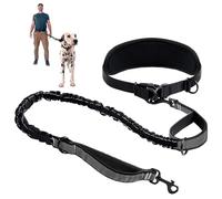 Laisse pour Chiens, Laisse Canicross Chiens, Chien Autour De La Taille,Ceinture Réglable Et Élastique Rétractable, pour Canicross, Course à Pied, Randonnée