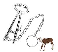 Laisse pour museau de Vache avec chaîne en Acier, Laisse pour museau de bétail à Usage agricole, Outil d'identification auriculaire en Acier forgé galvanisé avec Verrouillage autom