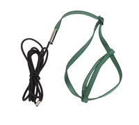 Laisse pour oiseaux,Corde de vol pour oiseaux,Corde d'entraînement pour oiseaux,Corde de traction pour perroquets,Laisse de vol pour oiseaux,Accessoire d'entraînement pour oiseaux
