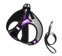 Laisse pour petits chiens, réglable et confortable, motif tête de mort, violet et rose