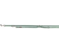 Laisse prolongateur premium 2,00 m/25 mm sauge