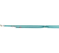 Laisse prolongateur premium, double couche 2,00 m/20 mm aqua