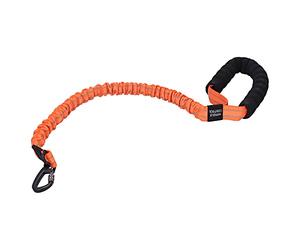 Laisse réfléchissante en Nylon pour Animaux de Compagnie, Laisse élastique pour Promener Les Chiens avec poignée en Mousse pour Chiens de Petite, Moyenne et Grande Taille, Bande de (Orange)