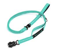 Laisse réfléchissante pour animal domestique avec fermoirs de réglage pour promener et voyager toutes races de chiens absorbant les chocs
