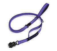 Laisse réfléchissante pour animal domestique avec fermoirs de réglage pour promener et voyager toutes races de chiens absorbant les chocs