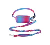 Laisse réfléchissante pour chien en polyester avec pochette et laisse | Une sangle de poignet se connecte à une laisse enroulée et un clip en métal, avec une petite pochette zippée attachée à la