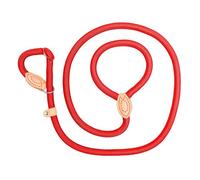 Laisse réfléchissante pour chien pour dressage et promenade pour grands petits chiens corde robuste