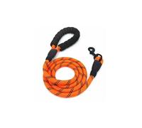 Laisse réfléchissante pour chien - YYV - 5 pieds - Poignée rembourrée - Anti-glisse - Nylon