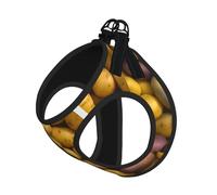 Laisse réfléchissante pour petits chiens et chats - Motif pommes de terre - Réglable - Pour la marche, la randonnée