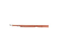 Laisse de prolongation premium 2,00 m/15 mm rouille