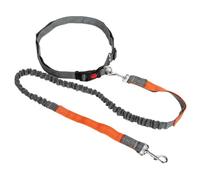 Laisse rétractable pour chien avec cordon de taille réglable, mains libres, course, cyclisme, grands chiens, élasticité, fournitures pour animaux de compagnie (orange)