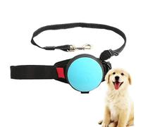 Laisse Rétractable pour Chien,Laisse De Course Extensible Mains Libres De 10 Pieds,Verrouillage Automatique, Ceinture Réglable pour Marcher, Faire du Jogging, Voyage pour Chiens De Moyenne Et Grande