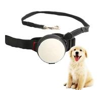 Laisse Rétractable pour Chien,Laisse De Course Extensible Mains Libres De 10 Pieds,Verrouillage Automatique, Ceinture Réglable pour Marcher, Faire du Jogging, Voyage pour Chiens De Moyenne Et Grande