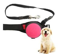 Laisse Rétractable pour Chien,Laisse De Course Extensible Mains Libres De 10 Pieds,Verrouillage Automatique, Ceinture Réglable pour Marcher, Faire du Jogging, Voyage pour Chiens De Moyenne Et Grande