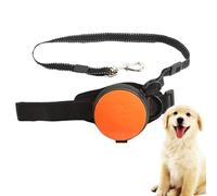 Laisse Rétractable pour Chien,Laisse De Course Extensible Mains Libres De 10 Pieds,Verrouillage Automatique, Ceinture Réglable pour Marcher, Faire du Jogging, Voyage pour Chiens De Moyenne Et Grande
