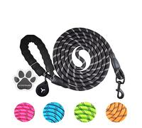 Laisse Robuste pour Chien, 3 m/2 m, Convient pour Les Chiens de Taille Moyenne et Grande, avec poignées Confortables et Lignes réfléchissantes Plus évidentes (Noir, 3M)