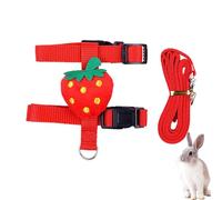 Laisse robuste pour chien - Joli gilet de dessin animé laisse de dressage pour chien | Besoins pour chiens en plein air Fournitures pour animaux de compagnie Harnais pour chien