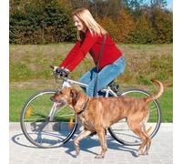 Laisse Vélo Et Jogging Pour Chien
