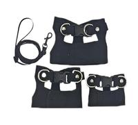 Laisses de dragons barbus | Harnais réglable en cuir PU avec corde de traction | Laisse lumineuse pour lézard d'amphibiens, gilet d'entraînement pour petits animaux, harnais 3X pour p