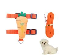 Laisses De Dressage pour Chiens - Ensemble De Laisses Solides pour Animaux De Compagnie De 13 À 18 Cm, Gilet De Dessin Animé Mignon, Laisse pour Chiot | Adaptabilité Pratique en Plein Air pour Chien,