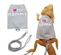 Laisses lézard - Harnais pour Reptiles, Sangle en Toile Lumineuse, Ceinture réglable Confortable, Laisse légère sécurisée pour Animal de Compagnie | Idéal pour séducteur Marche Aventures en Plein air