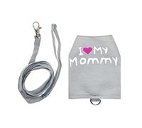 Laisses pour Dragon Barbu | Accessoire pour Animal en Toile Lumineuse Respirante Et Réglable - Vêtements pour Dragon Barbu | pour Sortie Extérieure Voyage Transport Quotidien