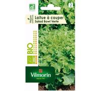 Laitue a couper salad bowl verte bio Vilmorin