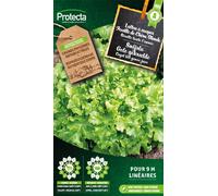 Laitue à tondre Feuille de Chêne Blonde - Protecta Graines paysannes - Env. 4 gr | 403-Protecta