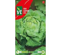 Laitue Appia Graines - Laitue pommée volumineus