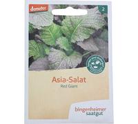Laitue asiatique Red Giant, goût fort de moutarde, facile à cultiver, semences Demeter de Bingenheimer