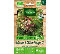 Vilmorin Sachet graines Laitue Blonde à Bord Rouge 2 Bio - Lactuca Sativa